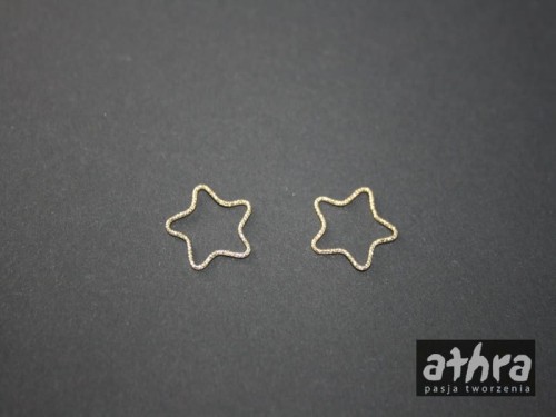 www_athra_pl_SL1271/010/D gwiazdka z drutu srebrnego diamentowanego 17mm
