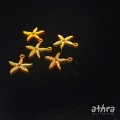 www_athra_pl_ZL12R/D rozgwiazda srebrna pozłacana 12mm