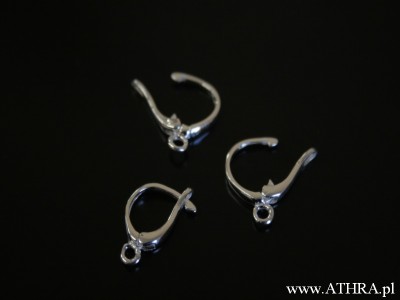 Bigle do kolczyków, KZ31