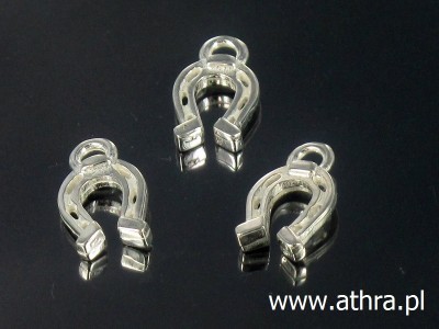 Zawieszka podkowa, PAN64