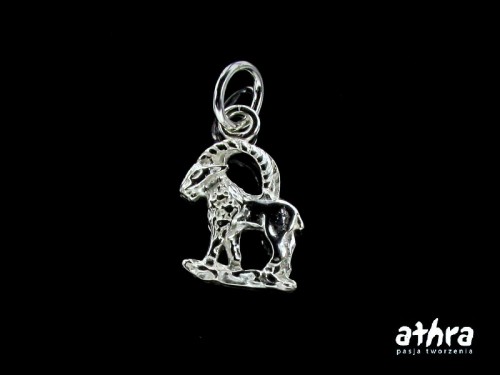 www_athra_pl_ZOD1 srebrna zawieszka z kółkiem znak zodiaku Koziorożec