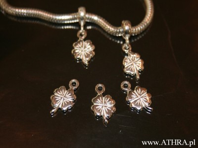 Zawieszka koniczynka, PAN19