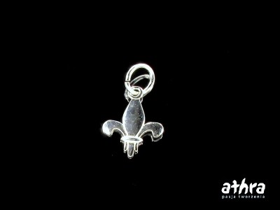 Zawieszka srebrna, ZL243