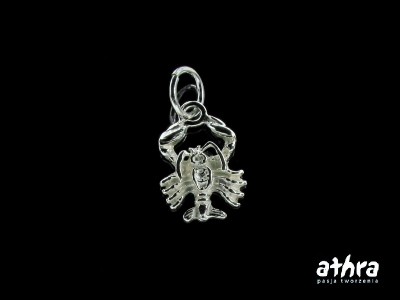 Zawieszka srebrna, Rak, ZOD7